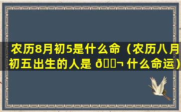 农历8月初5是什么命（农历八月初五出生的人是 🐬 什么命运）